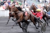 recherche-saillie-Bold-Eagle--conditions-interessantes-0