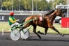 Vends-part-DAVIDSON-DU-PONT-0