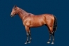 Vends-part-QUAKER-JET-0