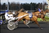 Dernieres-parts-disponibles-0