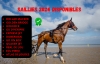 SAILLIES-SAISON-2024-0