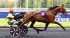 it-s-a-dollarmaker-saillie-2024-0