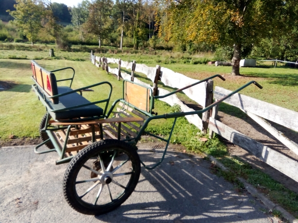 Voiture-attelage-caleche-cheval--charrette--sulky-dresseuse-