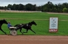 L-qualifiee-1-19--freres-tous-gagnants-2