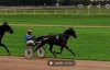 L-qualifiee-1-19--freres-tous-gagnants-1