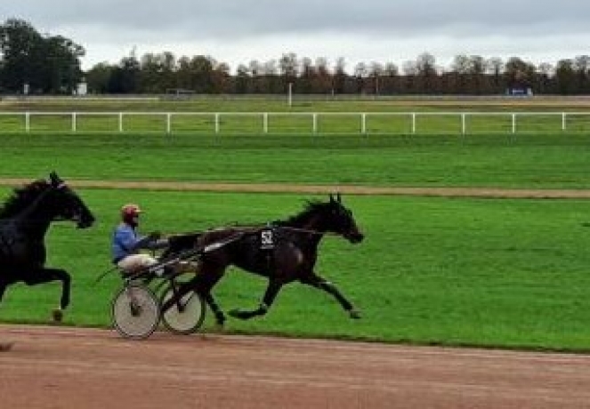 L-qualifiee-1-19--freres-tous-gagnants