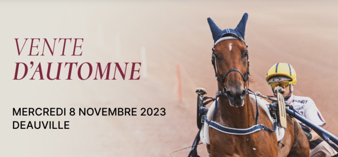 Je-suis-present-a-la-vente-de-ce-mercredi-a-Deauville-(08-11)-0
