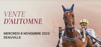 Je-suis-present-a-la-vente-de-ce-mercredi-a-Deauville-(08-11)