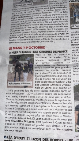 Kulk-Di-Leone-0