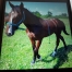 Vends-poulain-male-2