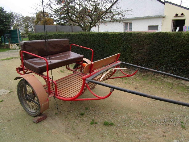 Caleche-pour-trotteur-ou-grand-poney-