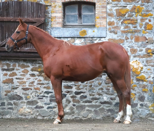 Pouliniere-A--2eme-Cat--1’’13--78K€-gains