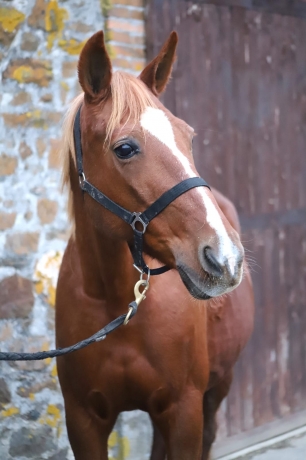 Pouliniere-A--2eme-Cat--1’’13--78K€-gains-3