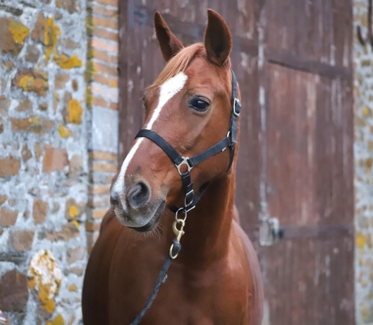 Pouliniere-A--2eme-Cat--1’’13--78K€-gains-2