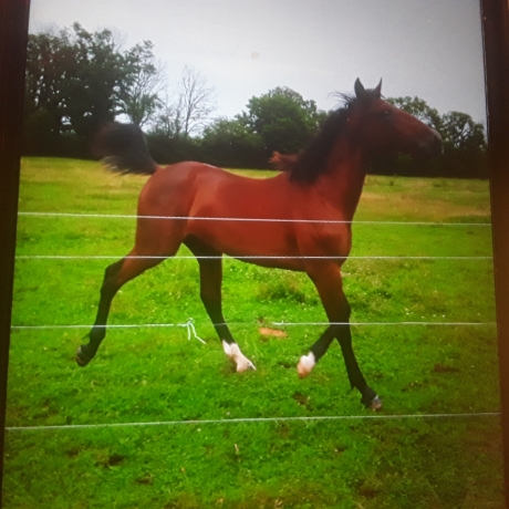 Location-carriere-de-courses