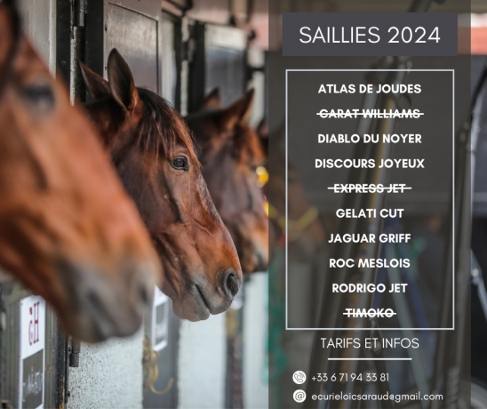 Nombreuses-saillies-2024