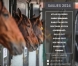 Nombreuses-saillies-2024-0