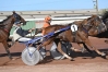 JAMAICA-CLEMAXELLE--1’’17’--6735€-de-gains-4