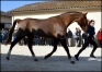 TWIST-DE-LA-VALLEE-3