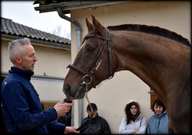 TWIST-DE-LA-VALLEE-1