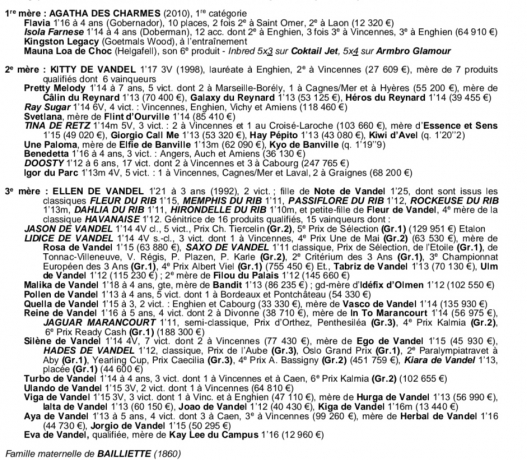 Cherche-option-pour-Pouliniere-1-ere-categorie