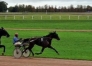 L-qualifiee-1-19--freres-tous-gagnants-1