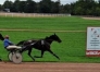 L-qualifiee-1-19--freres-tous-gagnants-0