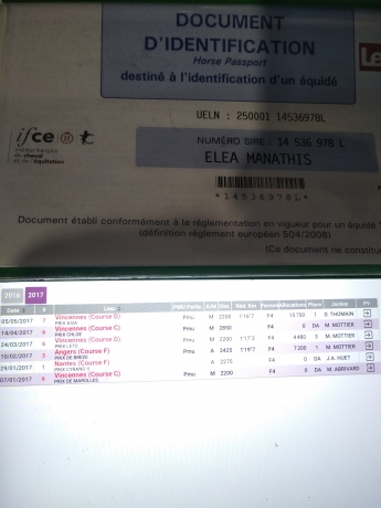 Vente-1re-categorie-ELEA-MANATHIS-1