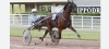 Propose-3-saillies-vente-ou-arrangement-0