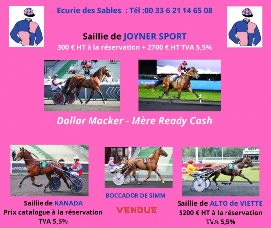 Saillie-de-Joyner-Sport-0