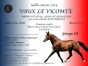 Vaux-le-vicomte-0