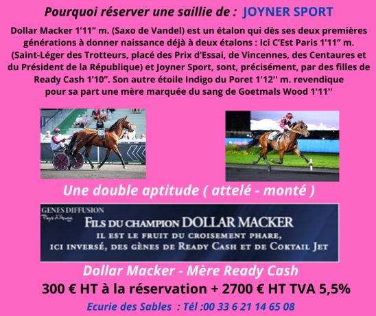 Joyner-Sport-Dollar-Macker--Ready-Cash-1