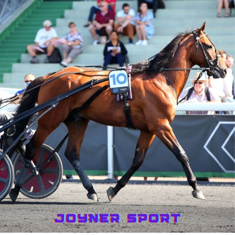 Joyner-Sport-Dollar-Macker--Ready-Cash-0