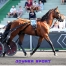 Joyner-Sport-Dollar-Macker--Ready-Cash-0