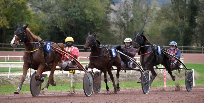 ENTRAINEUR-TROT-SUD-OUEST