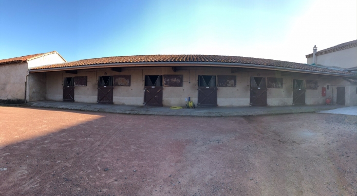 CENTRE-ENTRAINEMENT-TROTTEURS-3