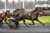 Vds-saillie-BRIAC-DARK-0