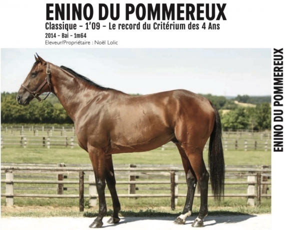 Saillie-Enino-du-Pommereux-0