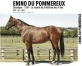 Saillie-Enino-du-Pommereux-0