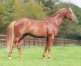 Saillies-remisees-1