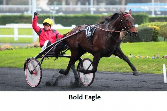 SAILLIE-BOLD-EAGLE