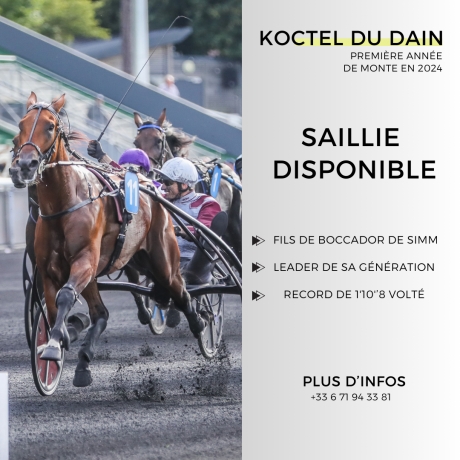 Saillie-2024-Koctel-du-Dain-0