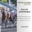 Saillie-2024-Koctel-du-Dain-0