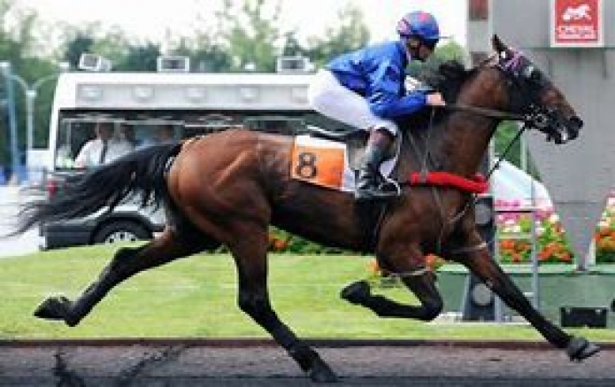 Saillie-sans-TVA-Scipion-0