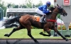 Saillie-sans-TVA-Scipion-0
