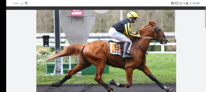 Saillies-Drole-de-gosse-(gazouillis)-0
