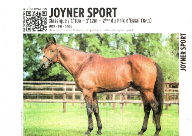 Joyner-Sport-Croisement-Cocktail-Jet--Ready-cash