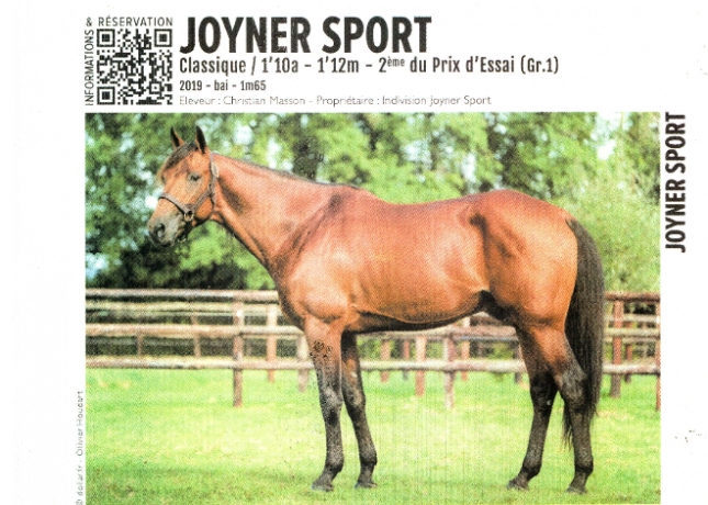 Joyner-sport-Croisement-Cocktail-Jet--Ready-cash