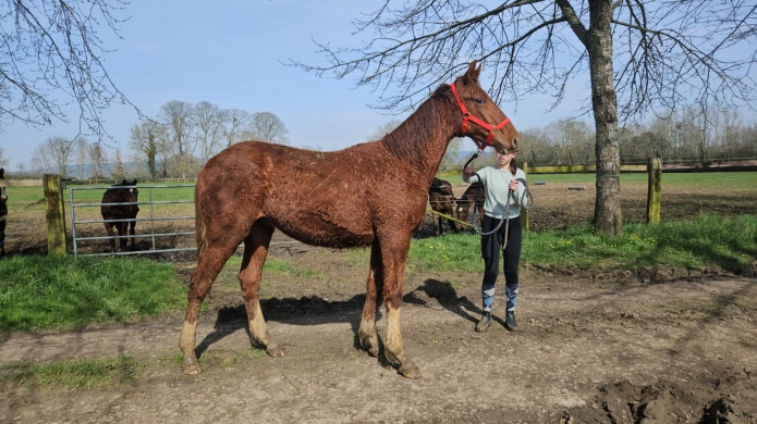 Neo-Magalou-par-Rolling-d’Heripre