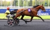 It-s-a-Dollarmaker-et-Canari-Match-1